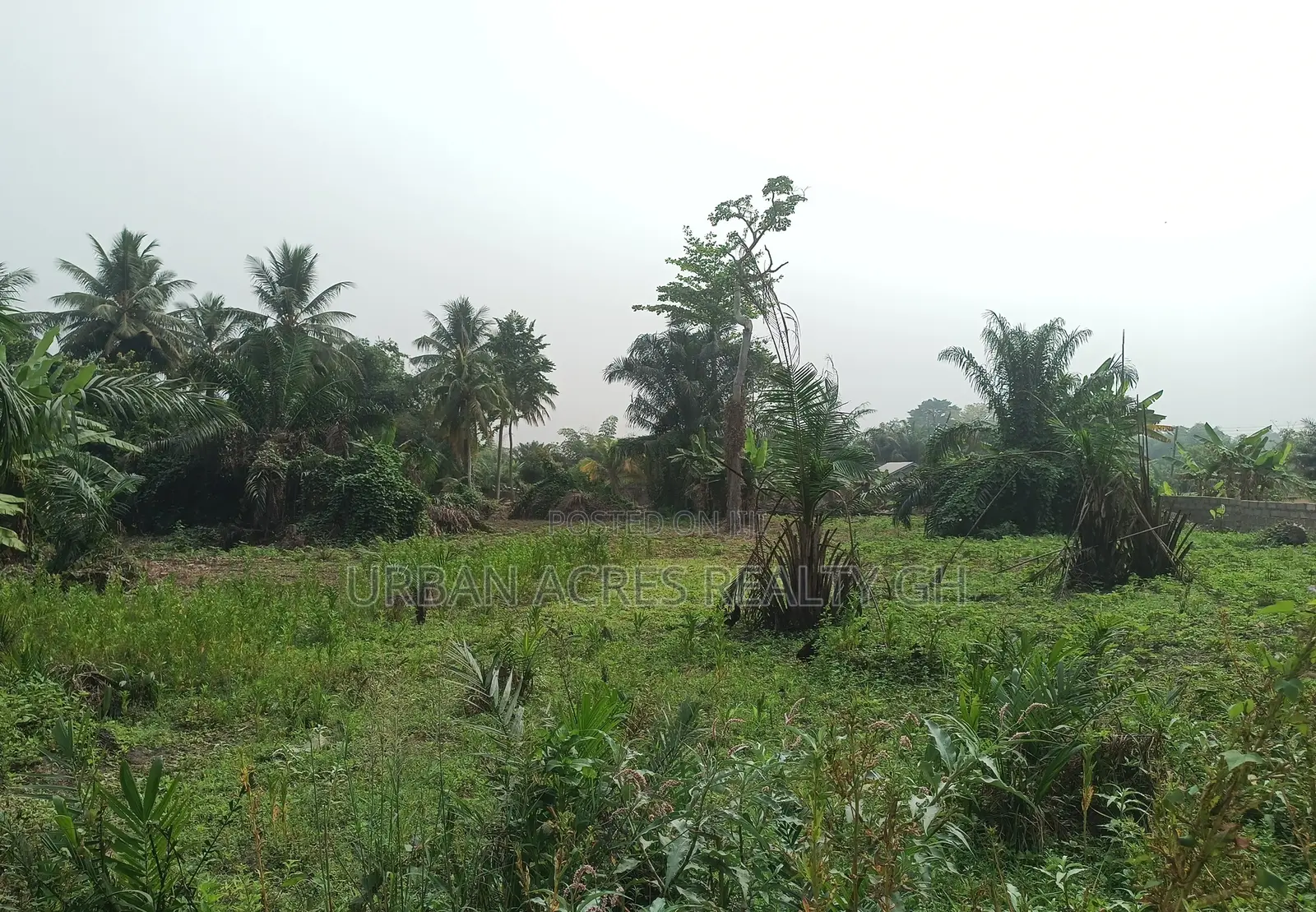 VOLTA REGION, HO (SAVIEFE) _ 20 Plots Building Land