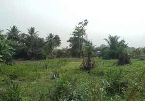 VOLTA REGION, HO (SAVIEFE) _ 20 Plots Building Land