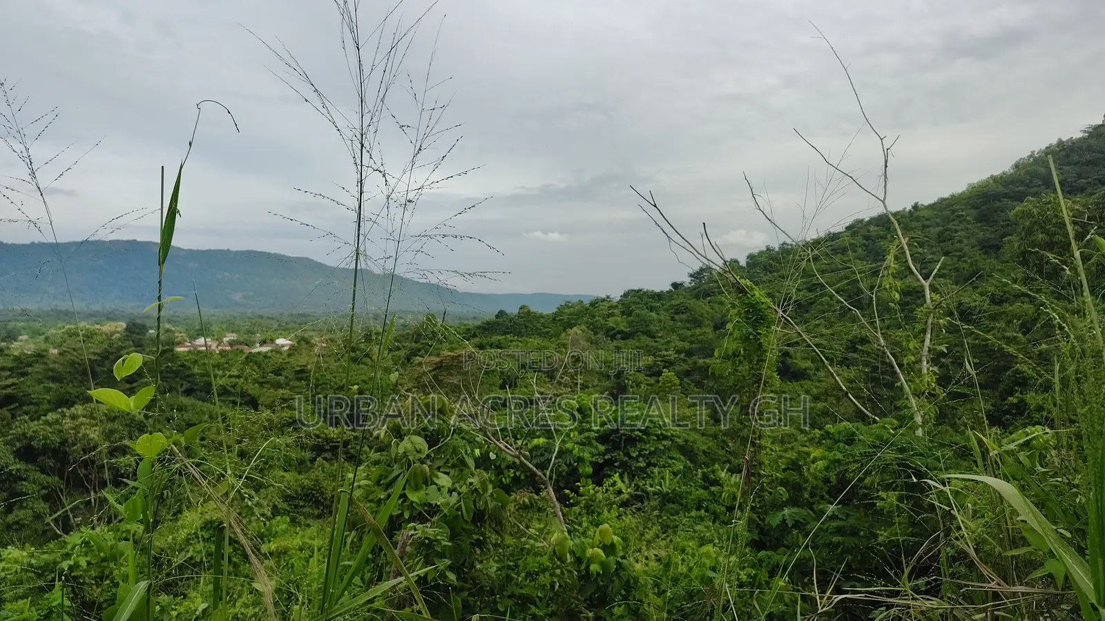VOLTA REGION, AMEDZOFE _ 12 Plots Mountain Land