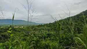 VOLTA REGION, AMEDZOFE _ 12 Plots Mountain Land