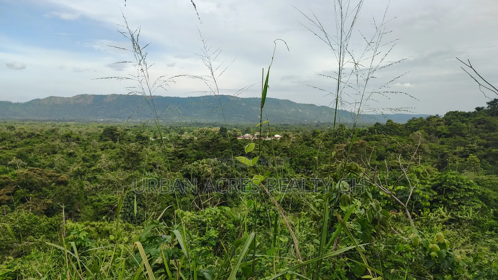 VOLTA REGION, AMEDZOFE _ 12 Plots Mountain Land