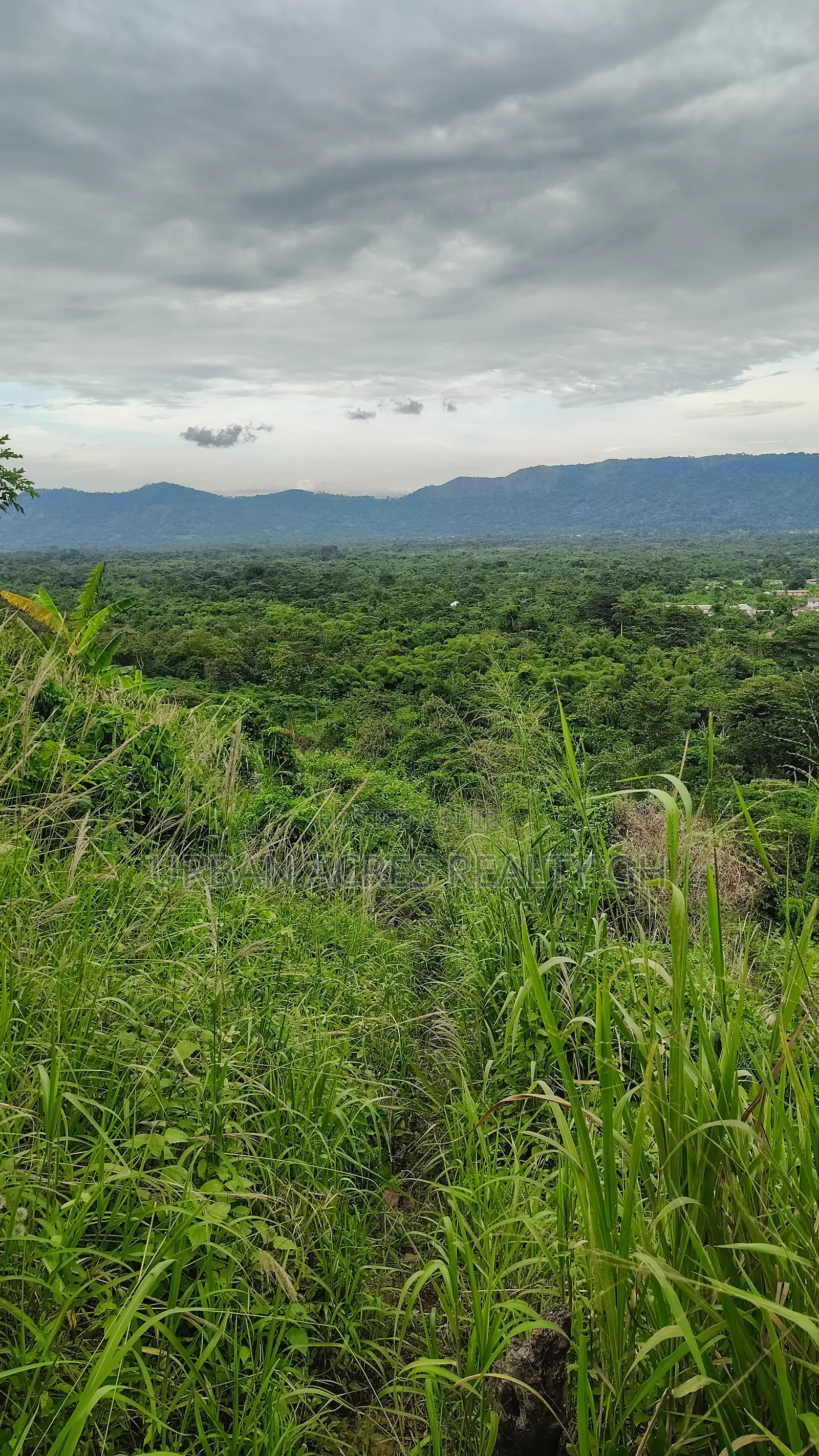 VOLTA REGION, AMEDZOFE _ 12 Plots Mountain Land