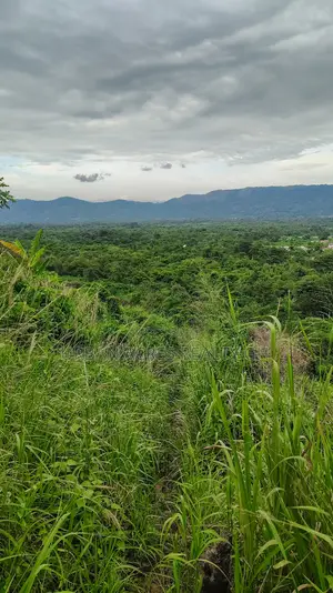 VOLTA REGION, AMEDZOFE _ 12 Plots Mountain Land