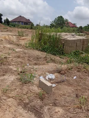 Plot of Land Sepaase Amoabeng