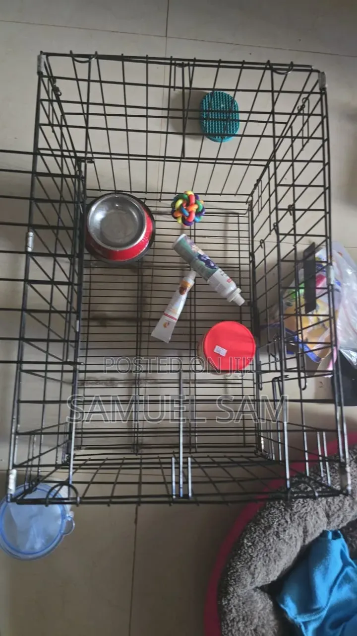 Pet Cages and Accessories for Dog