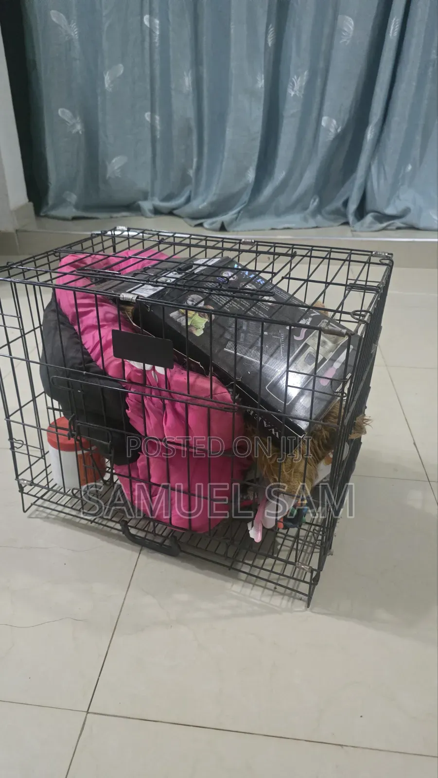 Pet Cages and Accessories for Dog