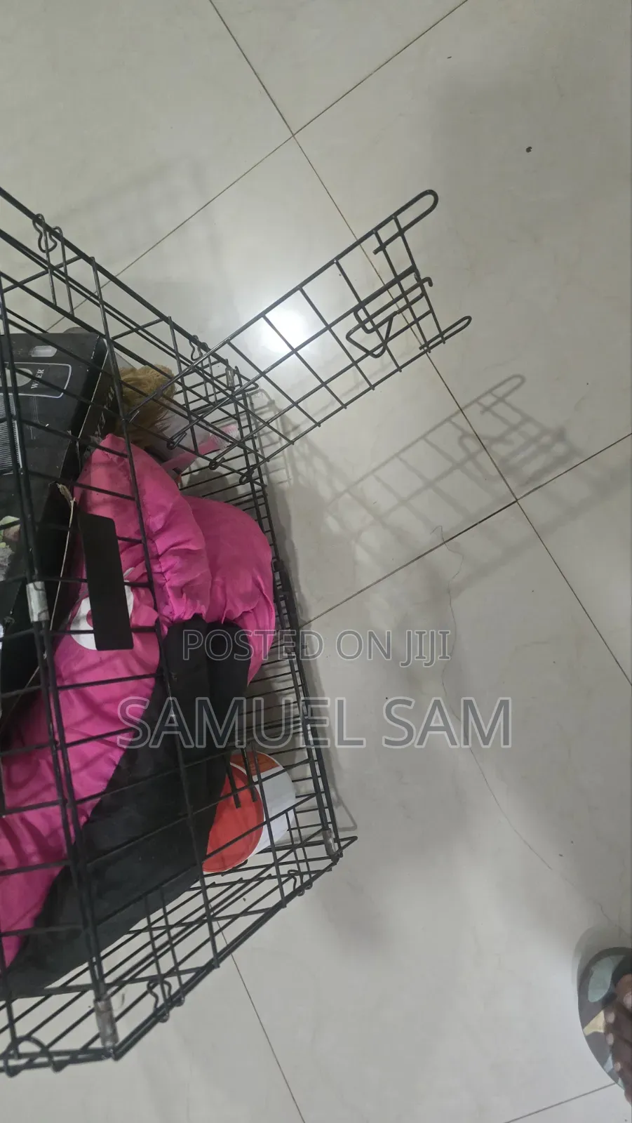 Pet Cages and Accessories for Dog