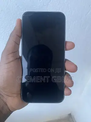 Apple iPhone 15 Pro Max 256 GB Silver