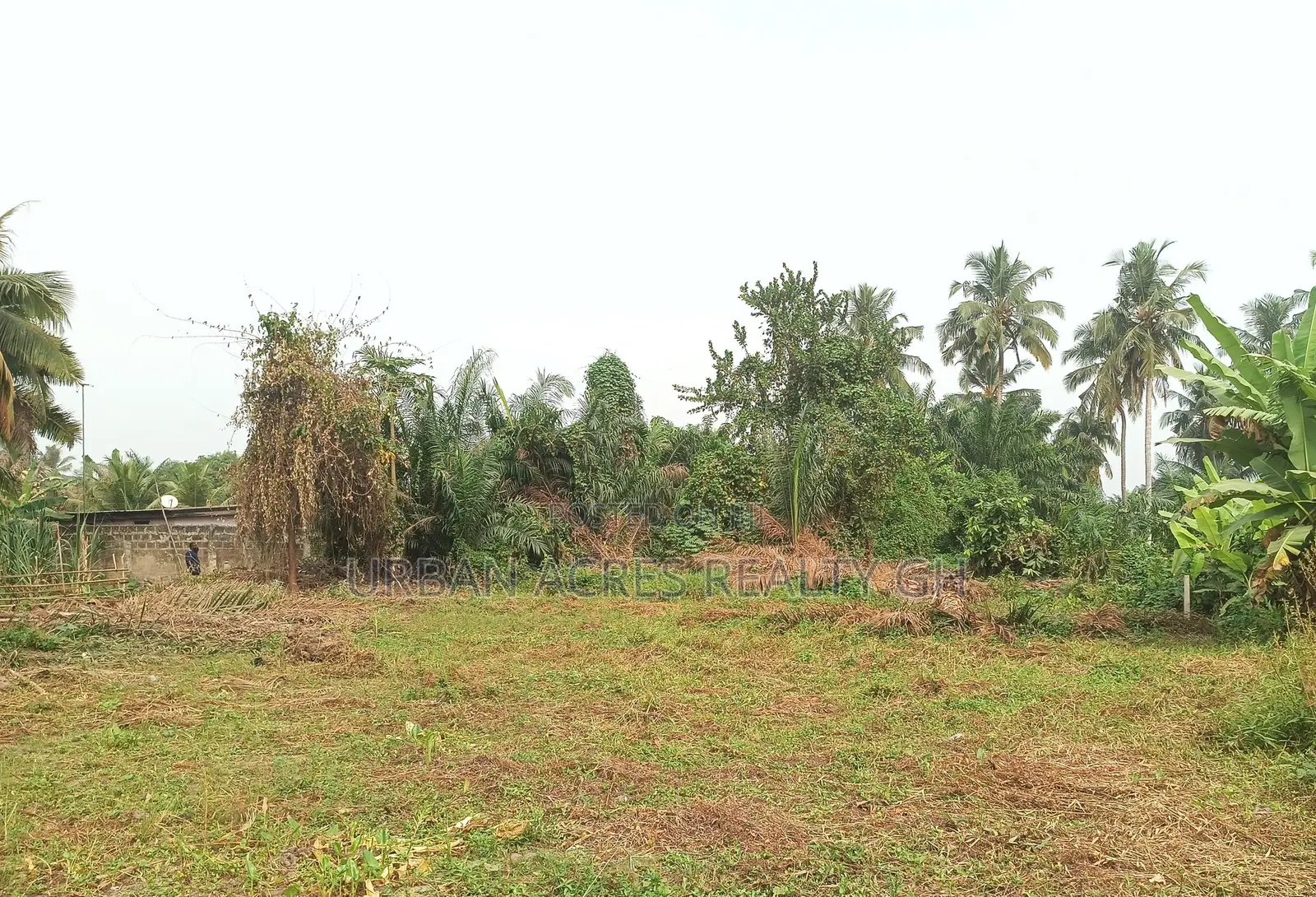 VOLTA REGION, HO (TAVIEFE) _ 4 Plots Building Land