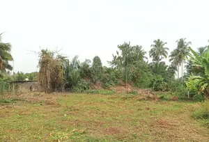 VOLTA REGION, HO (TAVIEFE) _ 4 Plots Building Land