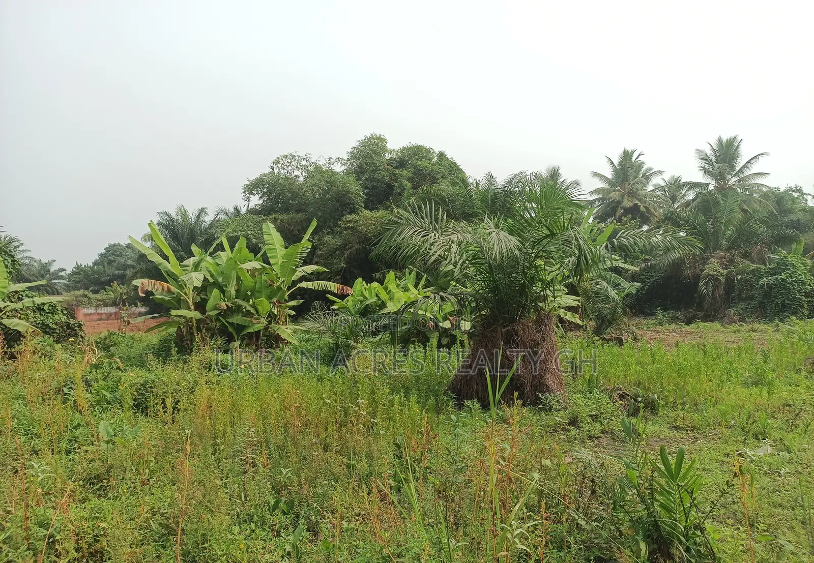 VOLTA REGION, HO (TAVIEFE) _ 4 Plots Building Land