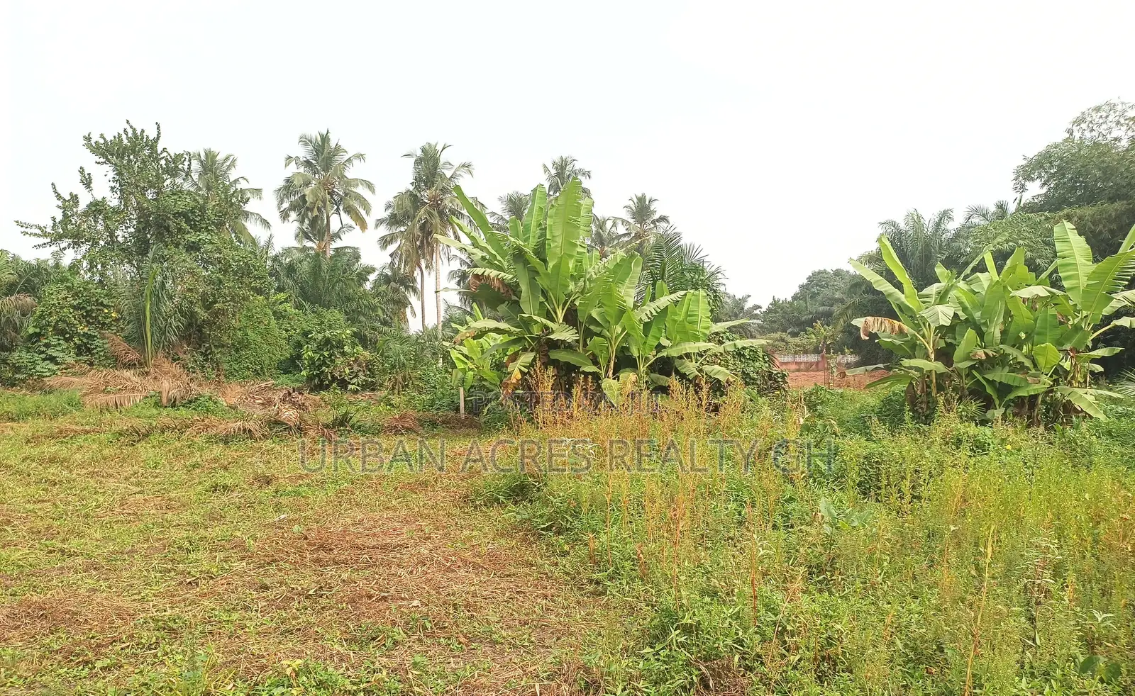 VOLTA REGION, HO (TAVIEFE) _ 4 Plots Building Land