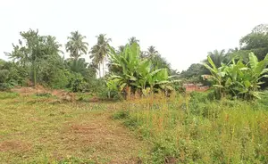 VOLTA REGION, HO (TAVIEFE) _ 4 Plots Building Land