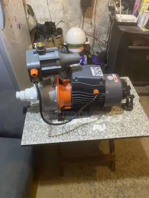 A 2.0 HP Leo Stainless Steel Jet Pump .New Type Complete.