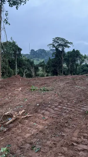 16 Acres of Registered Land in Aburi