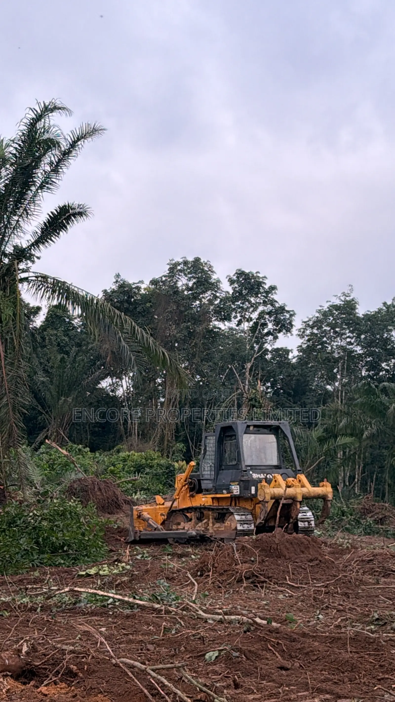 16 Acres of Registered Land in Aburi