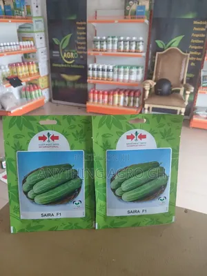Saira F1 Cucumber (Hybrid)