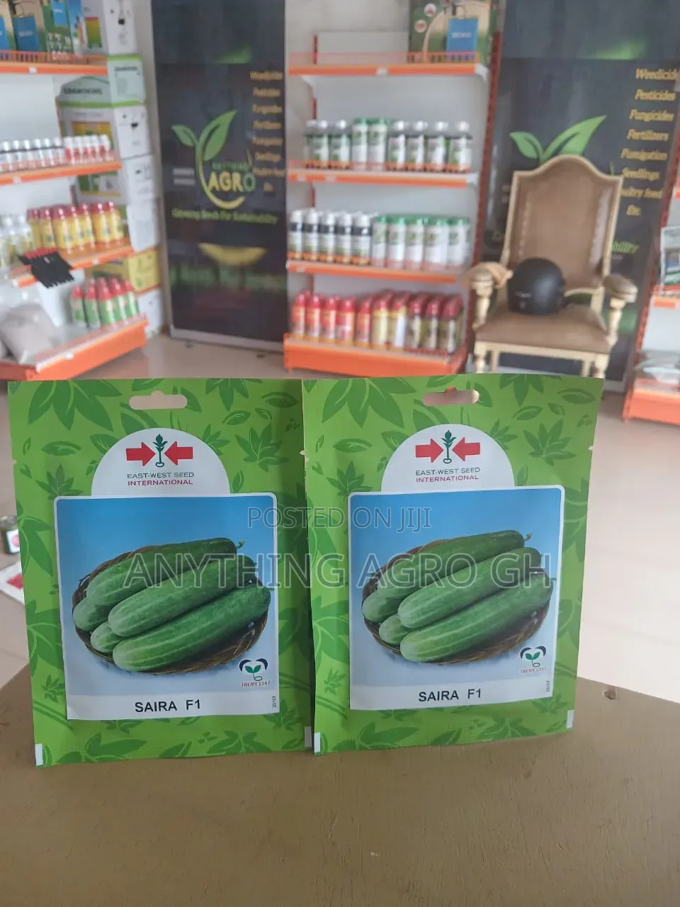 Saira F1 Cucumber (Hybrid)