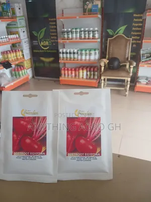 Beetroot Egyptian Seeds