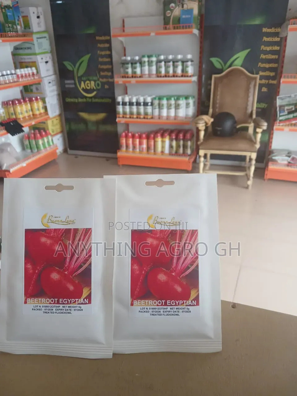 Beetroot Egyptian Seeds