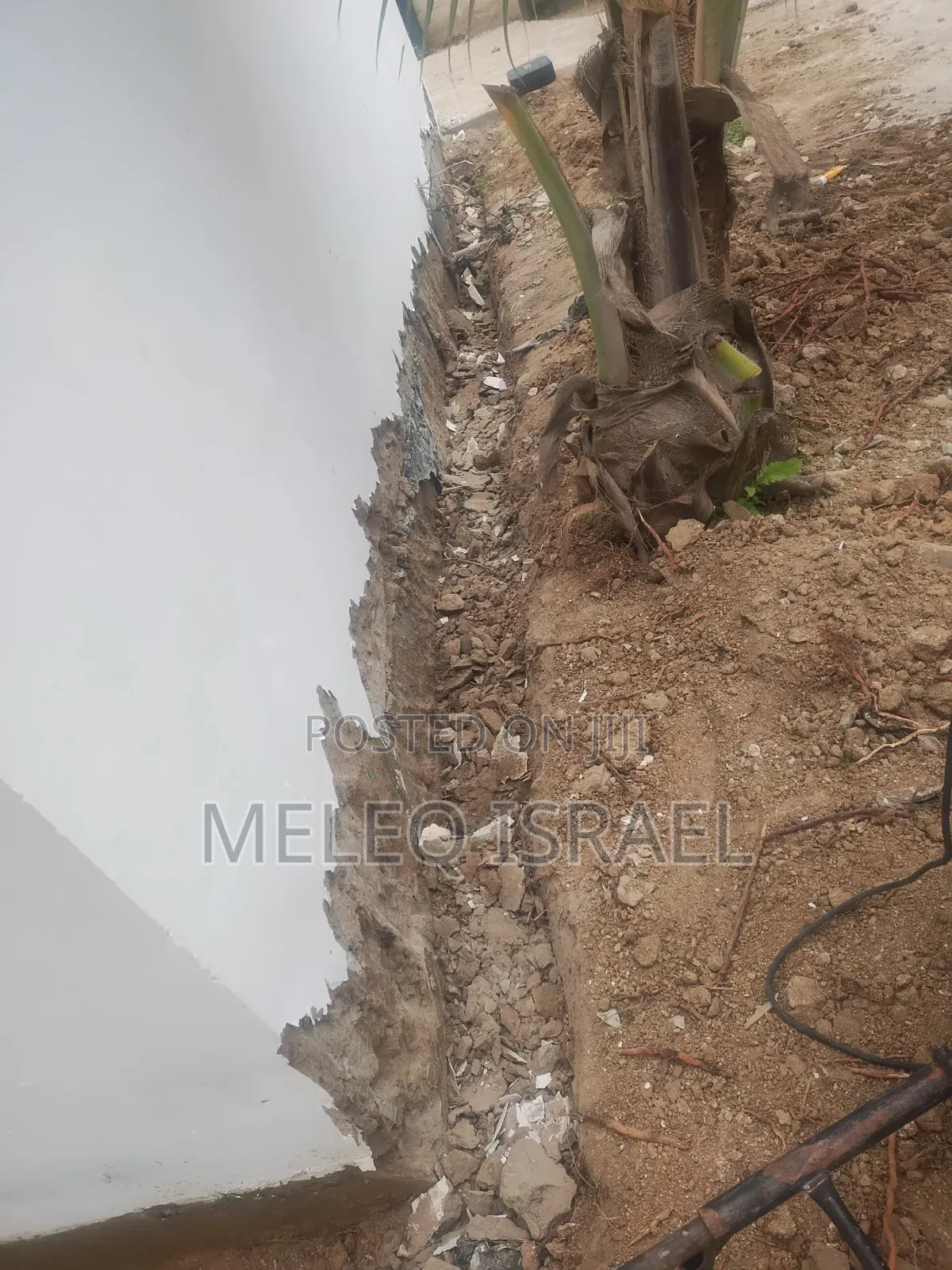Plaster Removal