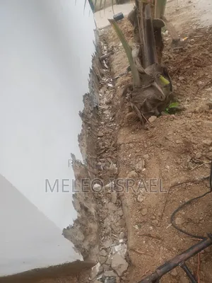Plaster Removal