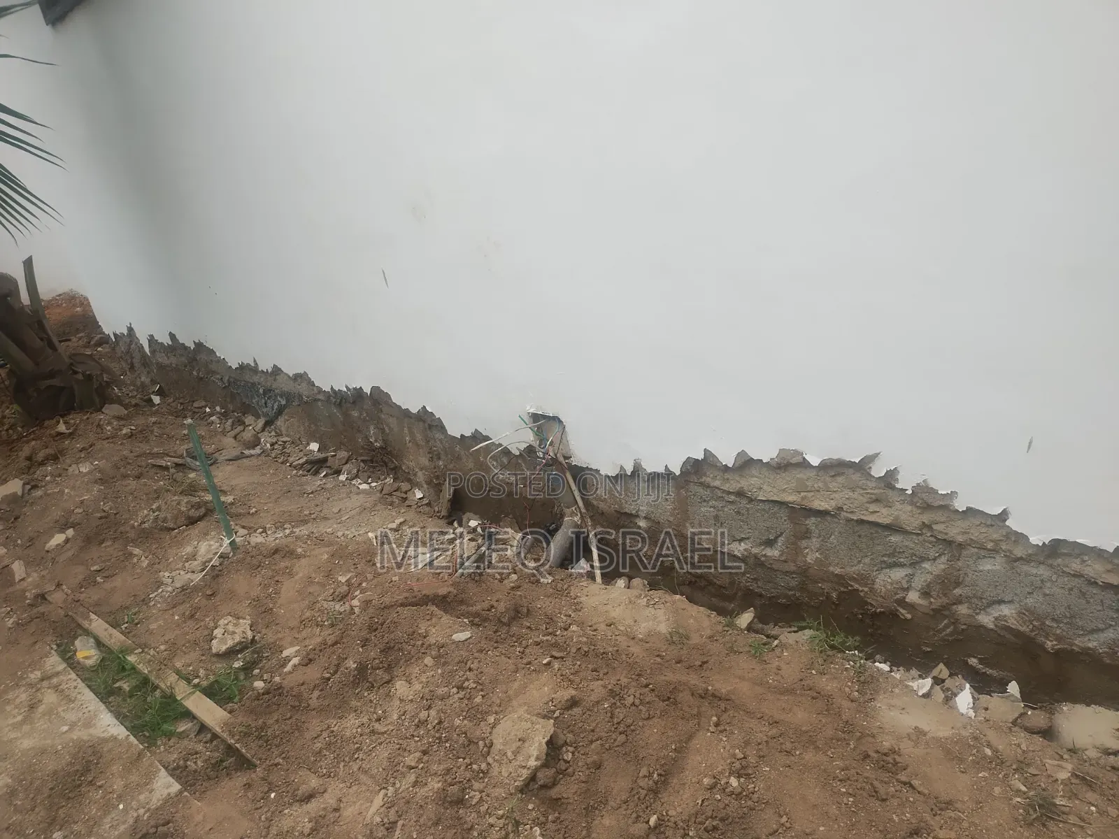 Plaster Removal