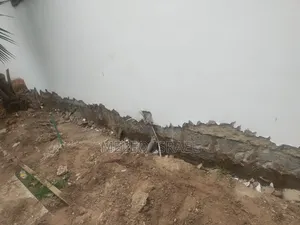 Plaster Removal