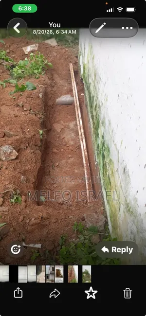 Plaster Removal