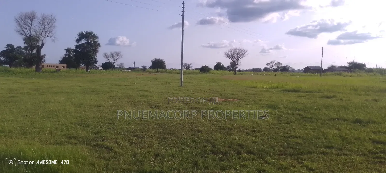 Land With Documents for Sale