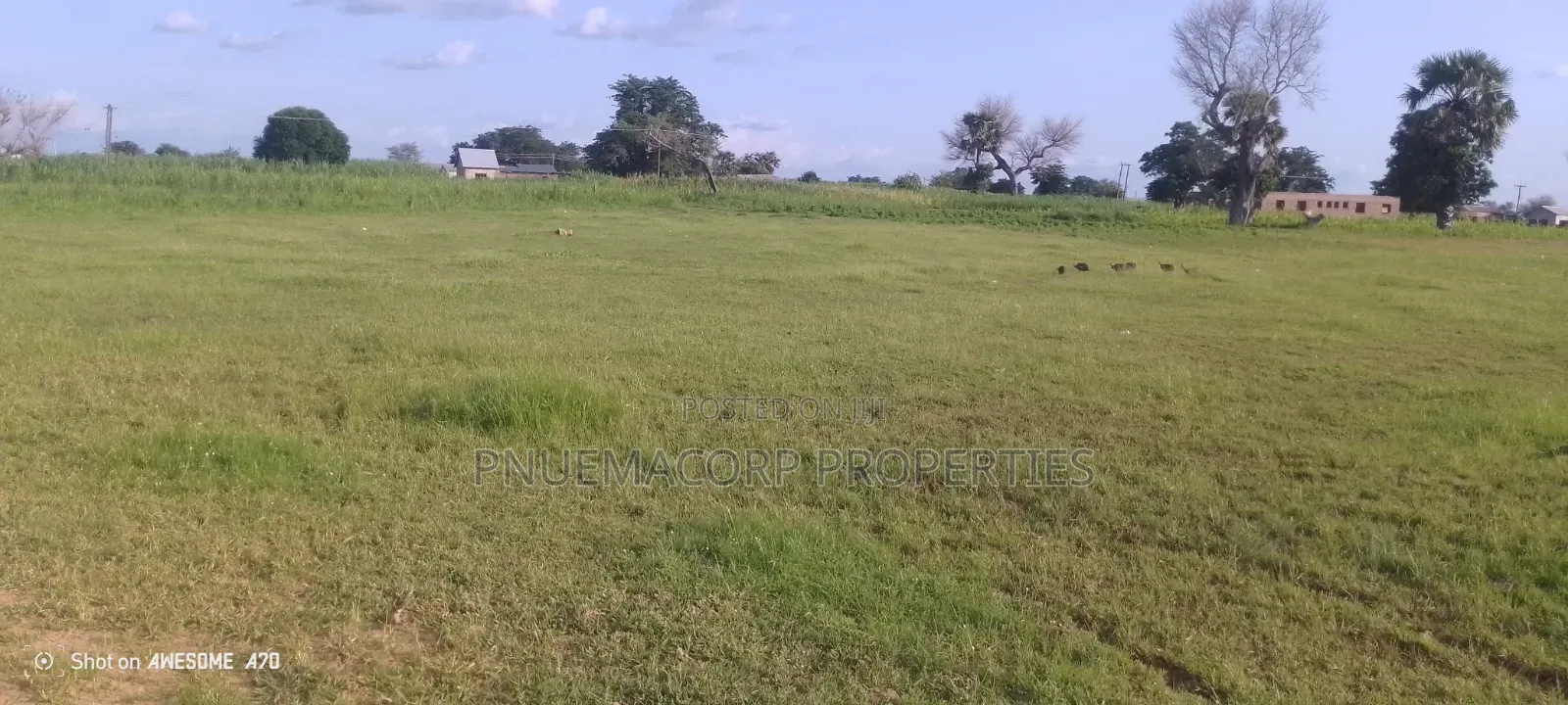 Land With Documents for Sale