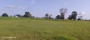 Land With Documents for Sale