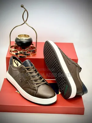 Lacoste Casual Coffee Shoe