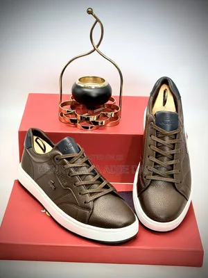 Lacoste Casual Coffee Shoe