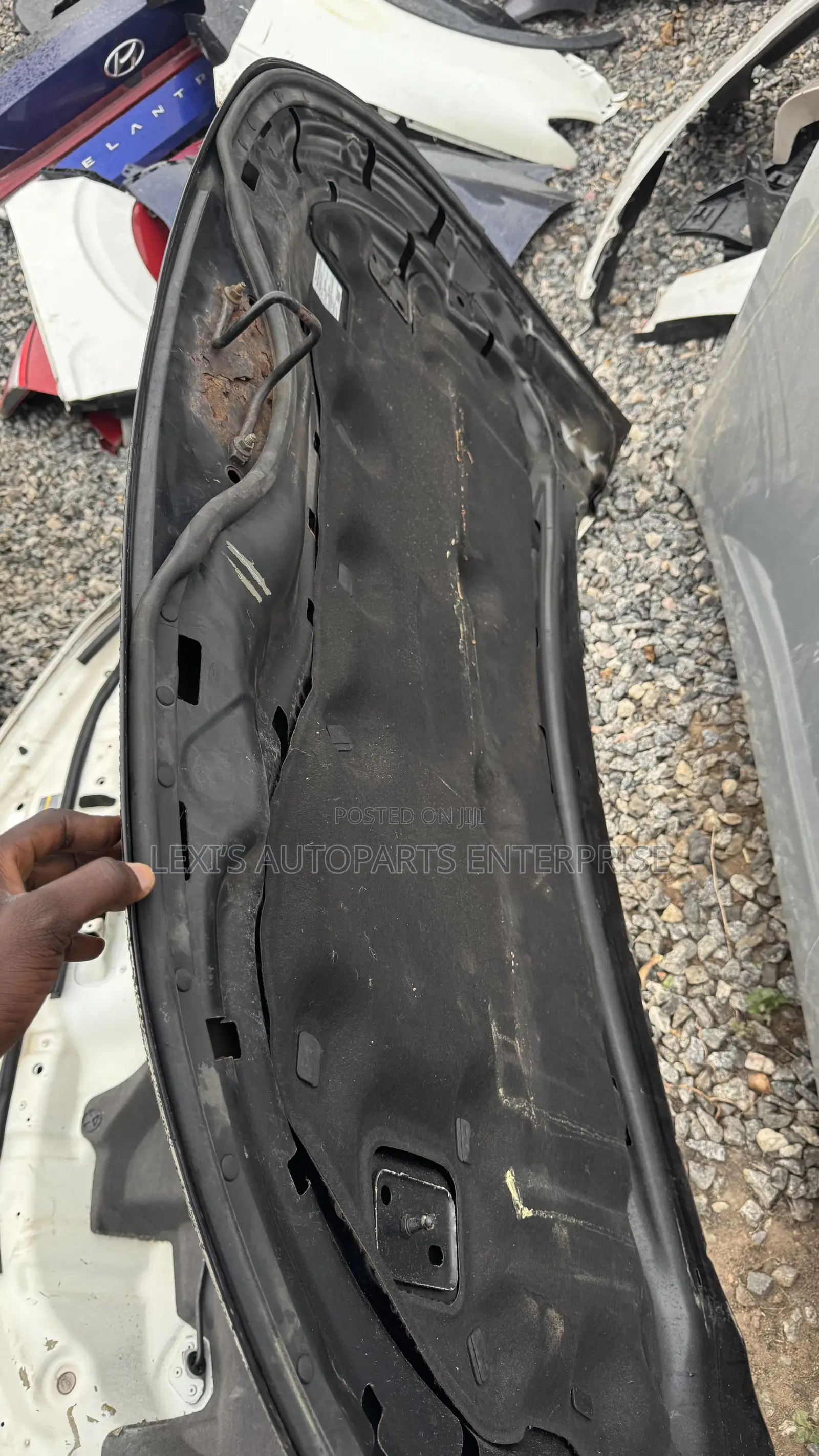 Ford Edge 2020,2021,2022,2023,2024,2025 Hood / Bonnet Available