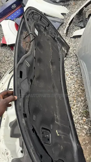 Ford Edge 2020,2021,2022,2023,2024,2025 Hood / Bonnet Available