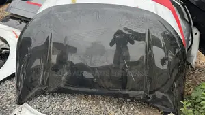 Ford Edge 2020,2021,2022,2023,2024,2025 Hood / Bonnet Available