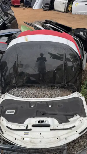 Ford Edge 2020,2021,2022,2023,2024,2025 Hood / Bonnet Available