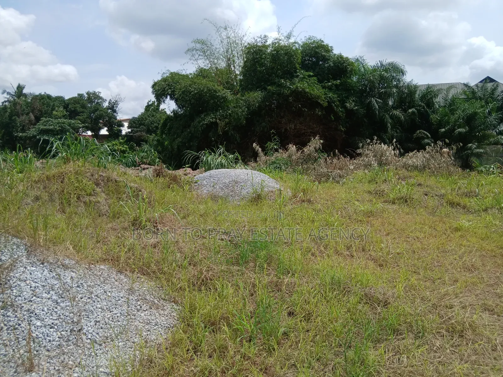 Hostel Land for Sale