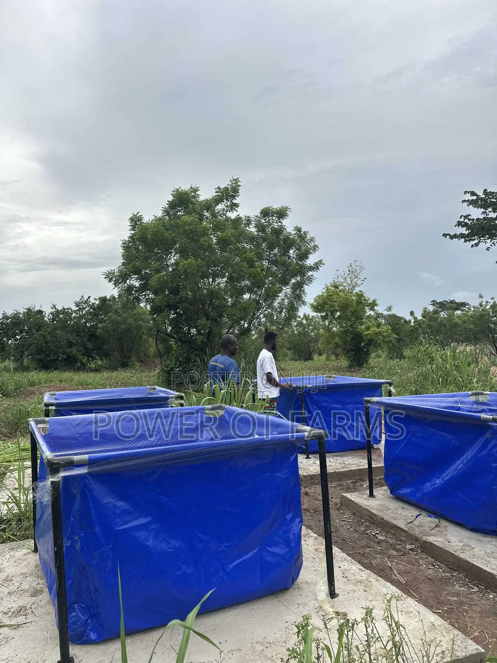 Fish Pond Made With Tarpaulin