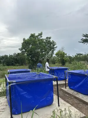 Fish Pond Made With Tarpaulin