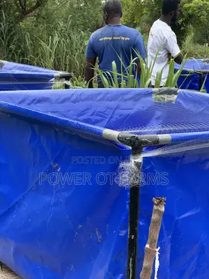 Fish Pond Made With Tarpaulin