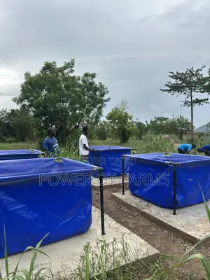 Fish Pond Made With Tarpaulin