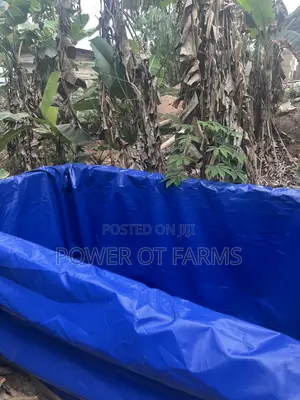 Tarp Fish Pond