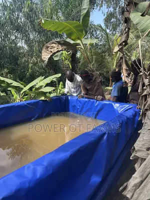 Tarp Fish Pond