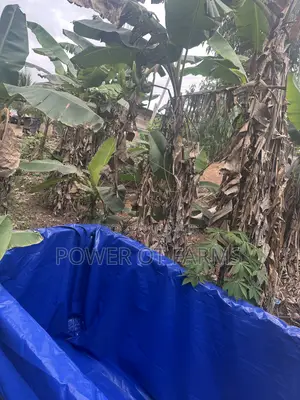 Tarp Fish Pond