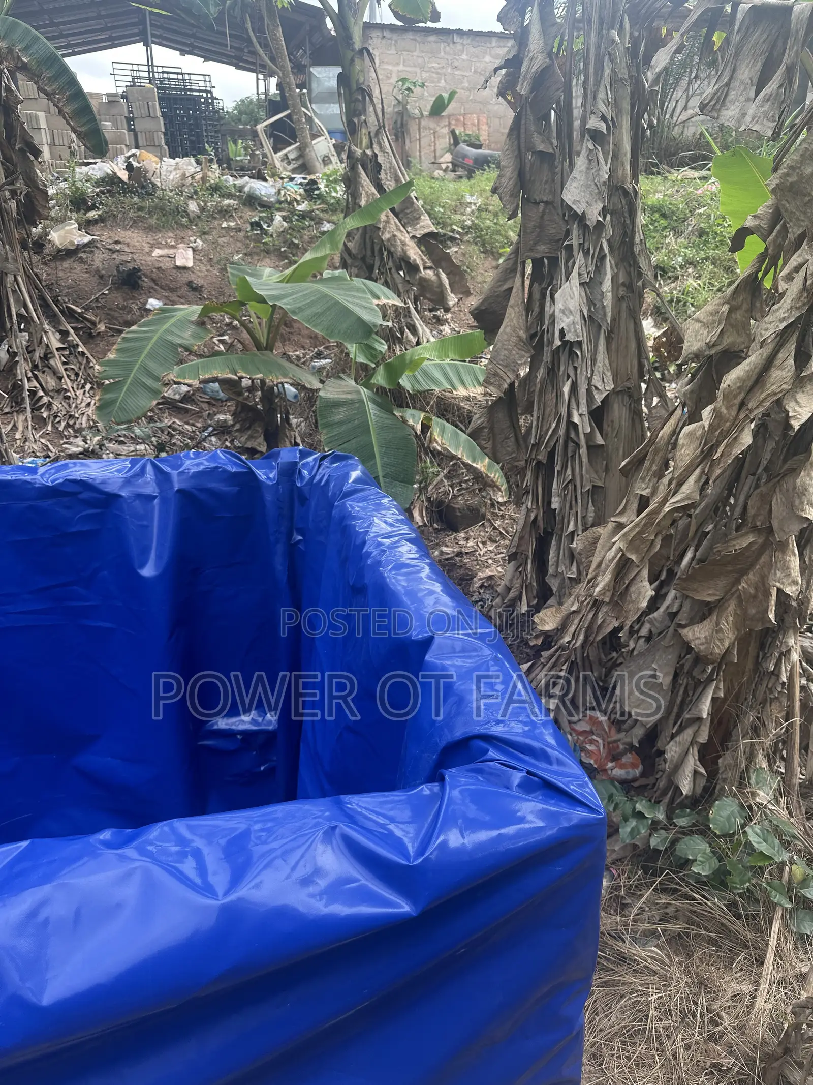 Tarp Fish Pond