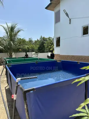 Tarpaulin Pond