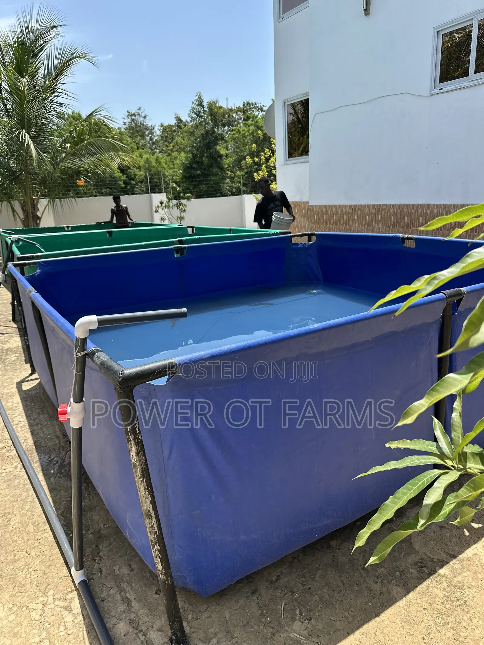 Tarpaulin Pond