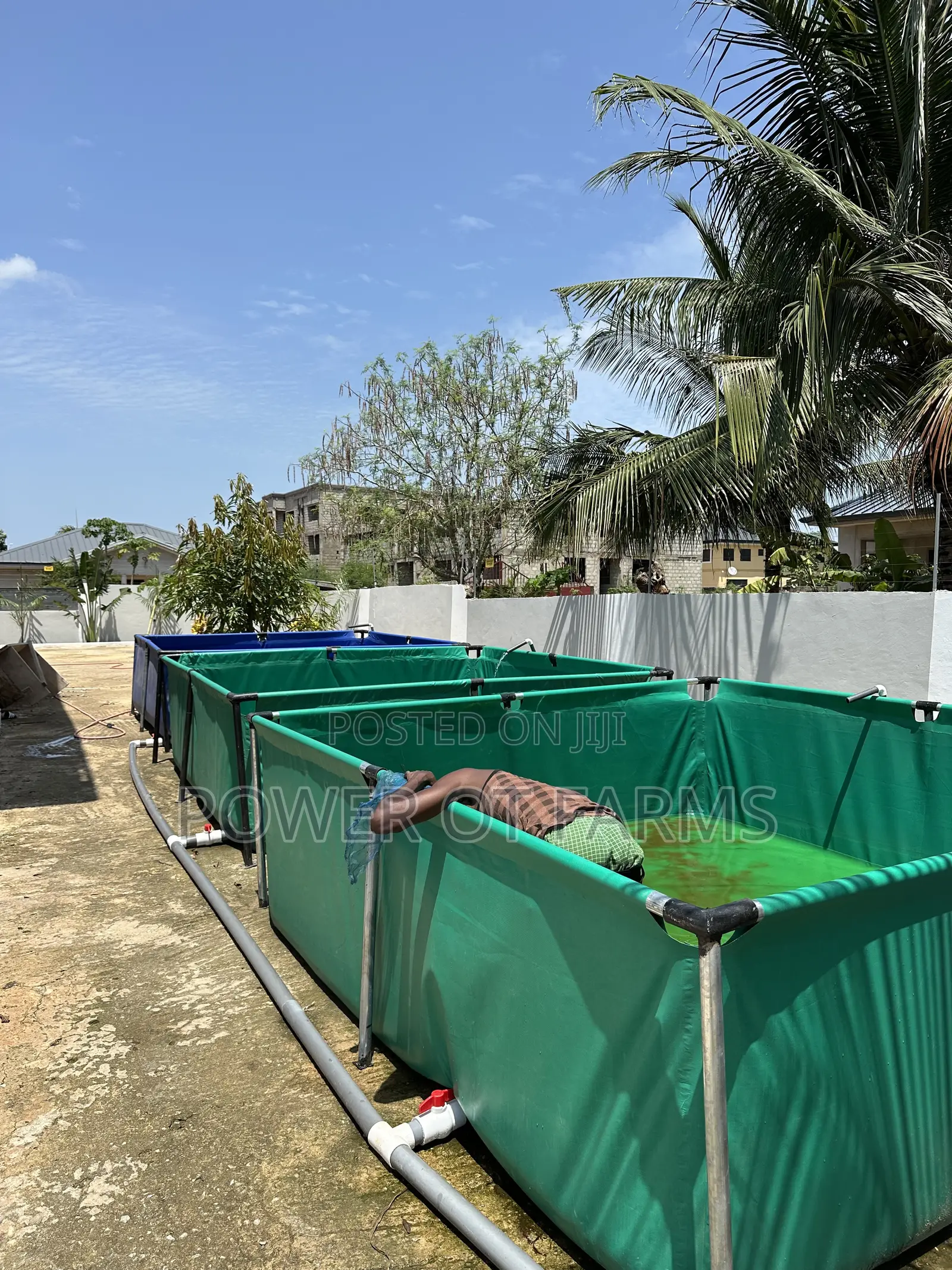 Tarpaulin Pond